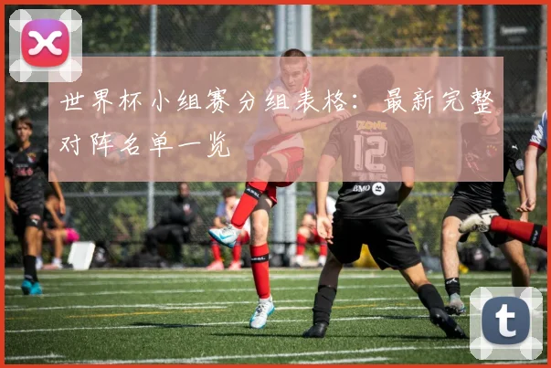 世界杯小组赛分组表格：最新完整对阵名单一览
