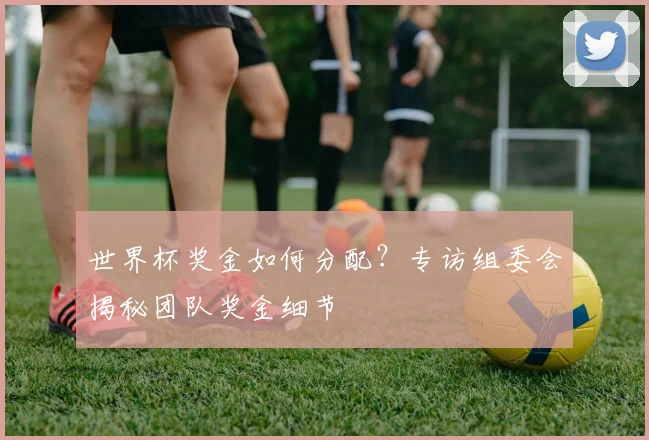 世界杯奖金如何分配？专访组委会揭秘团队奖金细节