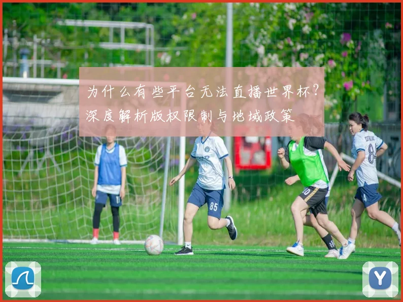 为什么有些平台无法直播世界杯？深度解析版权限制与地域政策