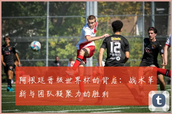 阿根廷晋级世界杯的背后：战术革新与团队凝聚力的胜利