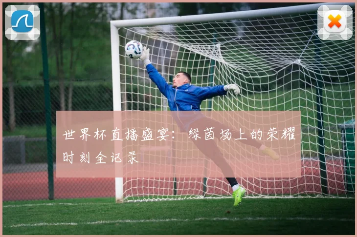 世界杯直播盛宴：绿茵场上的荣耀时刻全记录