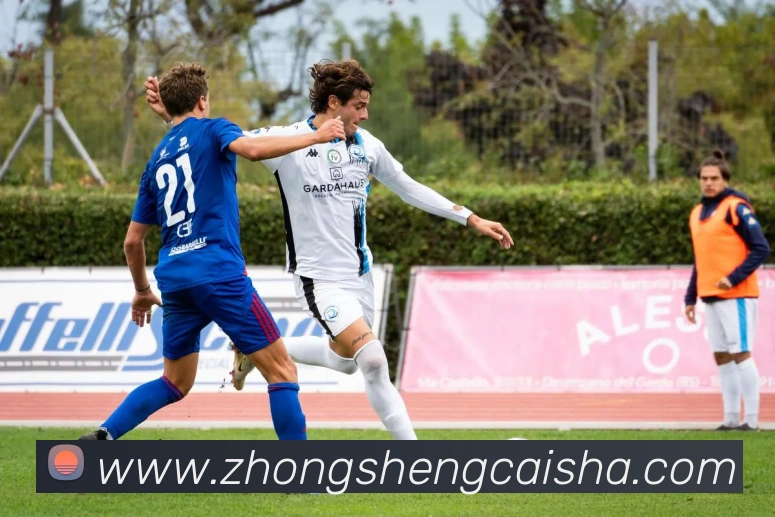 mksports官方网站平台生态图