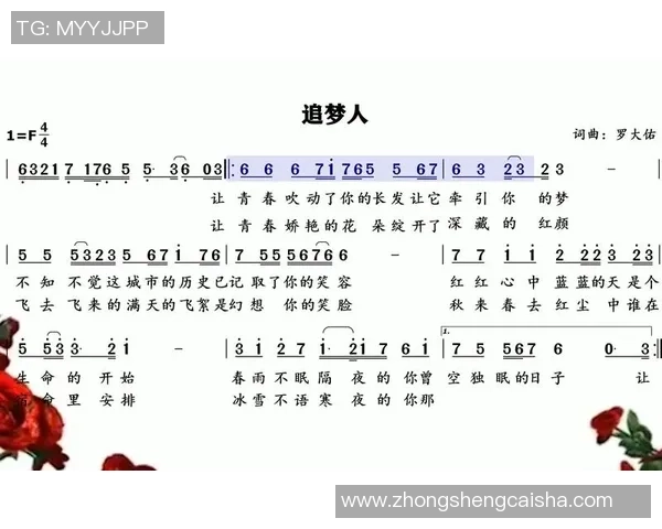 《追梦之足:日本女足球星的成长与奋斗纪录》 《追梦之足:日本女足球星的成长与奋斗纪录》