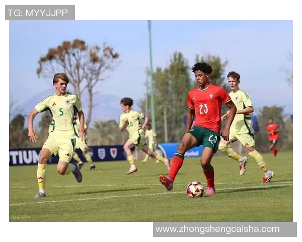 威尔士男子足球队球星崭露头角助力球队冲击国际大赛荣耀 威尔士男子足球队球星崭露头角助力球队冲击国际大赛荣耀