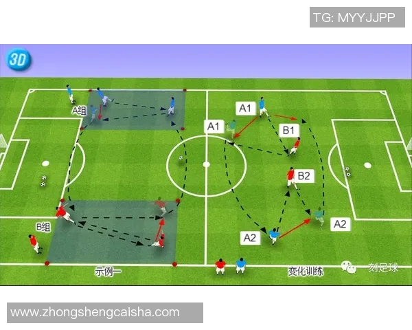 如何通过分析足球盘型确定球星数量的变化趋势与战术影响
