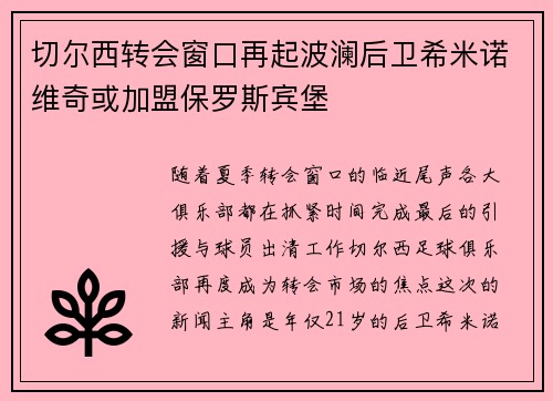切尔西转会窗口再起波澜后卫希米诺维奇或加盟保罗斯宾堡